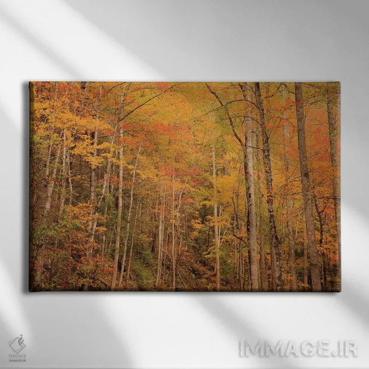 تابلو Tennessee. Fall foliage along the Little River in the Smoky Mountains.,آمریکا، تنسی. برگهای پاییزی در امتداد رودخانه لیتل در کوههای اسموکی اثر جوآن ولز - نمای روبهرو روی دیوار