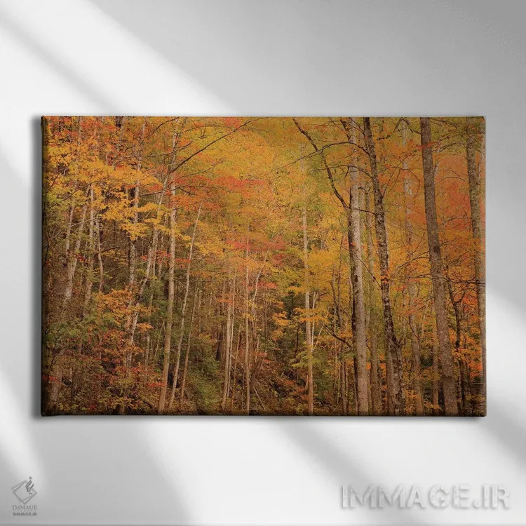 تابلو Tennessee. Fall foliage along the Little River in the Smoky Mountains.,آمریکا، تنسی. برگهای پاییزی در امتداد رودخانه لیتل در کوههای اسموکی اثر جوآن ولز - نمای روبهرو روی دیوار