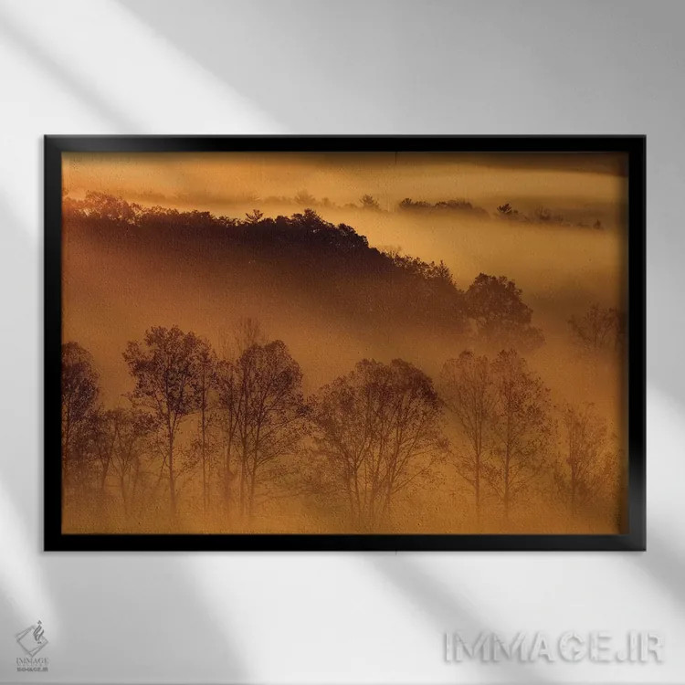 تابلو Tennessee. Early morning fog in the Smoky Mountains.,آمریکا، تنسی. مه صبحگاهی در کوههای اسموکی اثر جوآن ولز - نمای قابدار مشکی