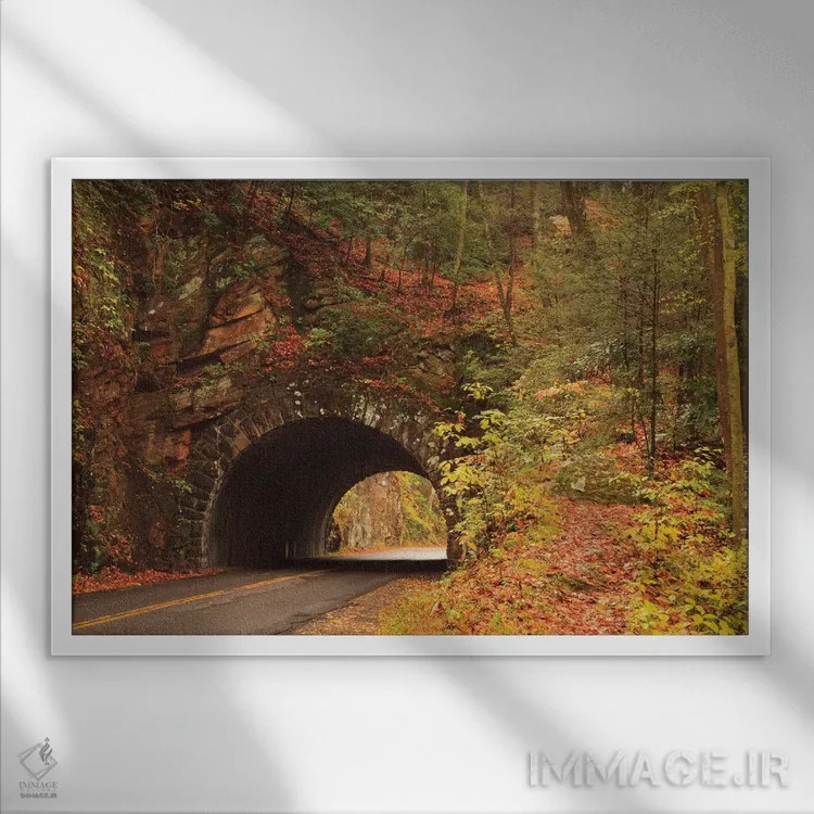 تابلو Tennesse. Tunnel along the road to Cades Cove in the fall.,آمریکا، تنسی. تونل کنار جادهٔ به کیدز کوو در پاییز اثر جوآن ولز - نمای قابدار سفید