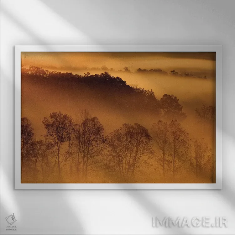 تابلو Tennessee. Early morning fog in the Smoky Mountains.,آمریکا، تنسی. مه صبحگاهی در کوههای اسموکی اثر جوآن ولز - نمای قابدار سفید