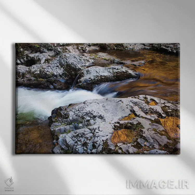 تابلو Tennessee. Reflections along the Little River in the Smoky Mountains.,آمریکا، تنسی. انعکاسها در امتداد رودخانه لیتل در کوههای اسموکی اثر جوآن ولز - نمای روبهرو روی دیوار