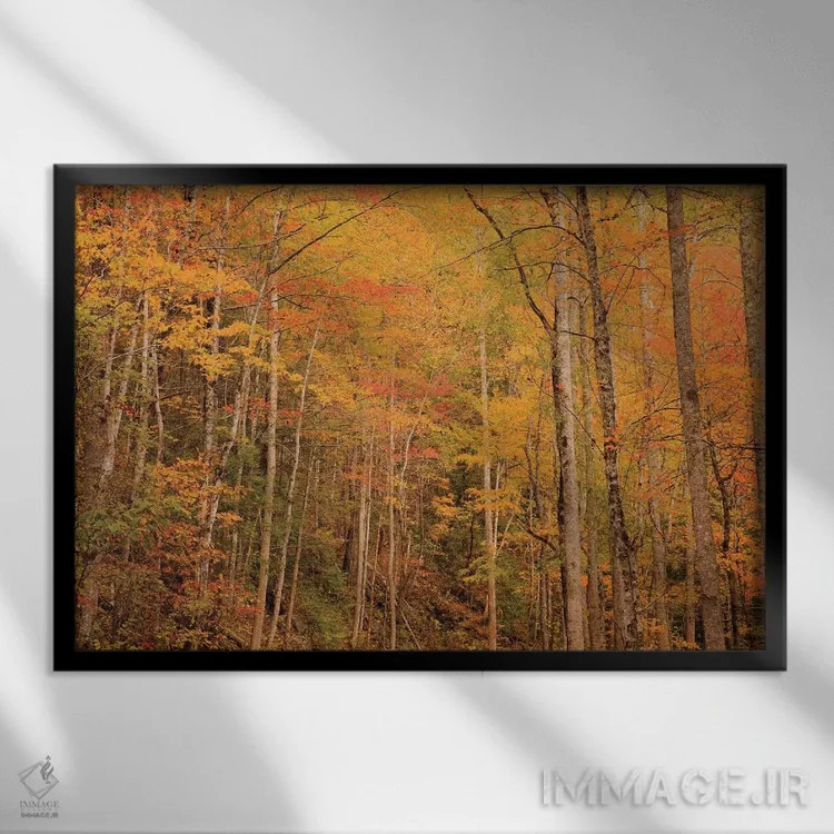 تابلو Tennessee. Fall foliage along the Little River in the Smoky Mountains.,آمریکا، تنسی. برگهای پاییزی در امتداد رودخانه لیتل در کوههای اسموکی اثر جوآن ولز - نمای قابدار مشکی