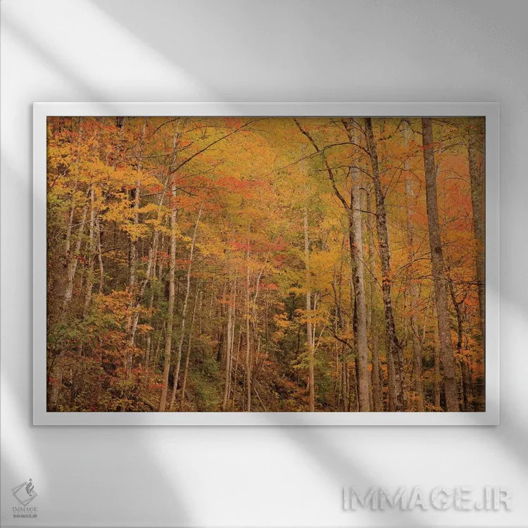 تابلو Tennessee. Fall foliage along the Little River in the Smoky Mountains.,آمریکا، تنسی. برگهای پاییزی در امتداد رودخانه لیتل در کوههای اسموکی اثر جوآن ولز - نمای قابدار سفید