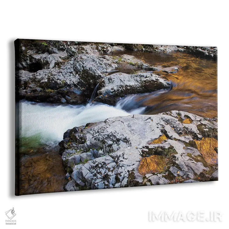 تابلو Tennessee. Reflections along the Little River in the Smoky Mountains.,آمریکا، تنسی. انعکاسها در امتداد رودخانه لیتل در کوههای اسموکی اثر جوآن ولز - نمای پرسپکتیو محصول