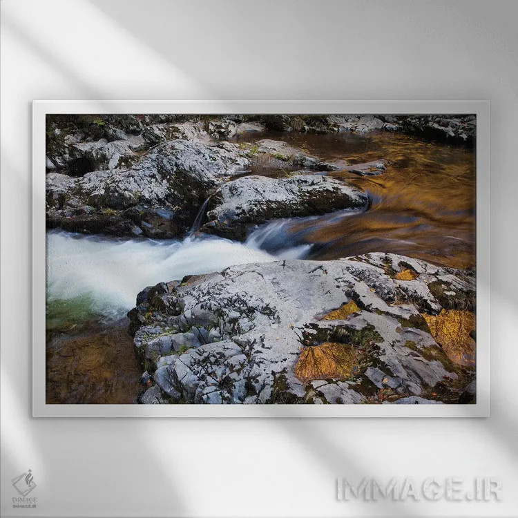 تابلو Tennessee. Reflections along the Little River in the Smoky Mountains.,آمریکا، تنسی. انعکاسها در امتداد رودخانه لیتل در کوههای اسموکی اثر جوآن ولز - نمای قابدار سفید