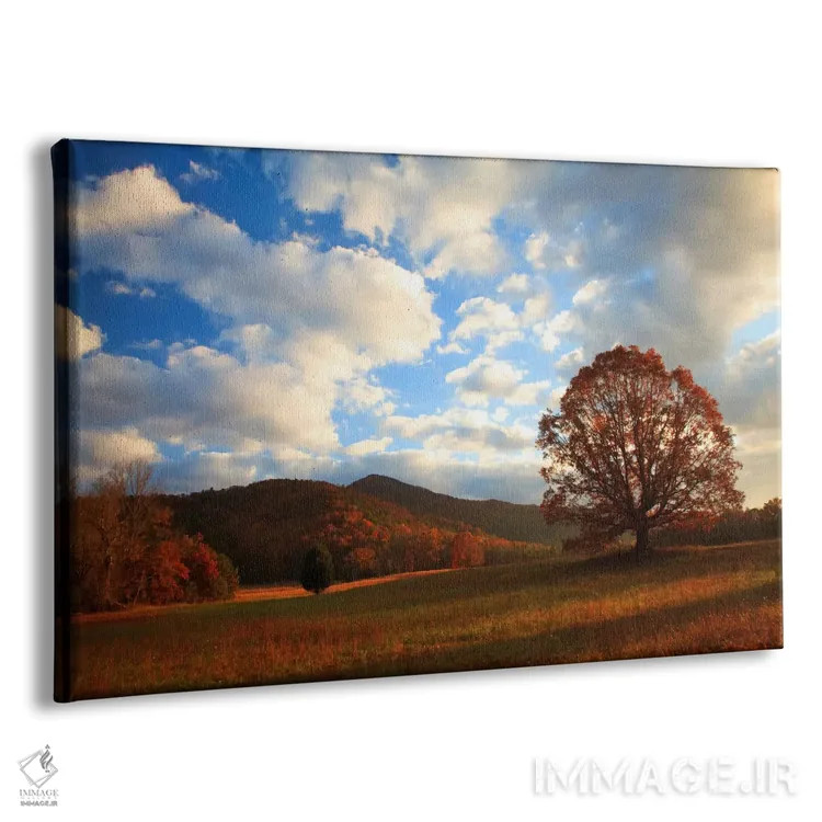 تابلو Cades Cove, Great Smoky Mountains National Park, Tennessee, USA,طلوع پاییز اواخر سال، کیدز کوو، پارک ملی کوههای اسموکی بزرگ، تنسی، ایالات متحده اثر جوآن ولز - نمای پرسپکتیو محصول