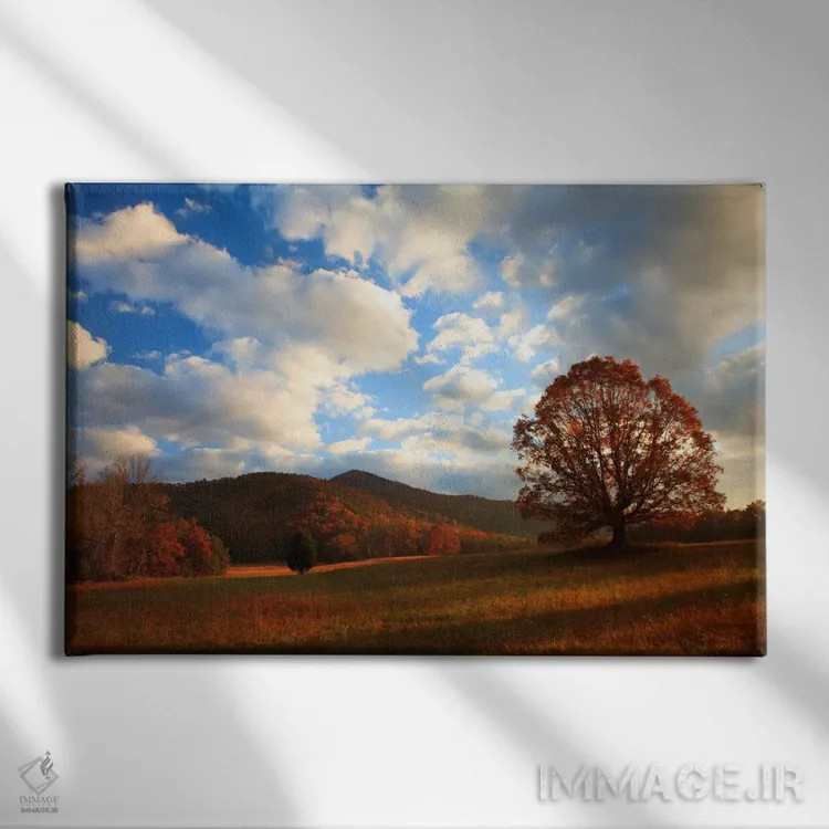 تابلو Cades Cove, Great Smoky Mountains National Park, Tennessee, USA,طلوع پاییز اواخر سال، کیدز کوو، پارک ملی کوههای اسموکی بزرگ، تنسی، ایالات متحده اثر جوآن ولز - نمای روبهرو روی دیوار