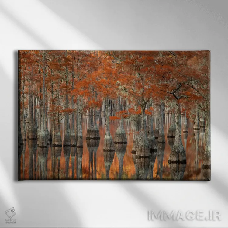 تابلو George L. Smith State Park, Emanuel County, Georgia, USA,درختان سرو حوضچه میل و انعکاس آنها، پارک ایالتی جورج ال. اسمیت، شهرستان ایمانوئل، جورجیا، ایالات متحده اثر جوآن ولز - نمای روبهرو روی دیوار