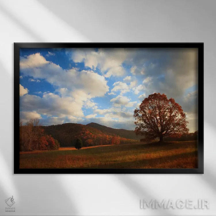 تابلو Cades Cove, Great Smoky Mountains National Park, Tennessee, USA,طلوع پاییز اواخر سال، کیدز کوو، پارک ملی کوههای اسموکی بزرگ، تنسی، ایالات متحده اثر جوآن ولز - نمای قابدار مشکی