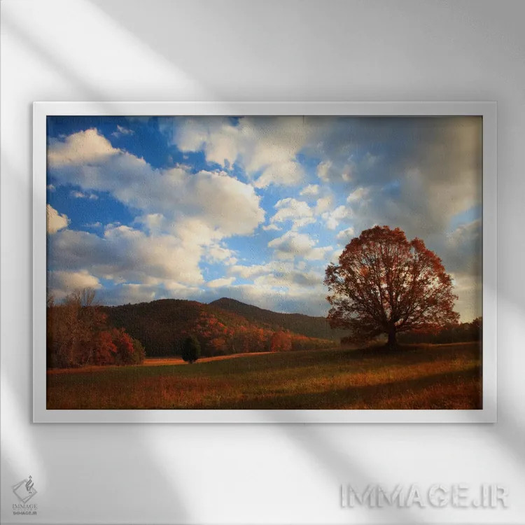 تابلو Cades Cove, Great Smoky Mountains National Park, Tennessee, USA,طلوع پاییز اواخر سال، کیدز کوو، پارک ملی کوههای اسموکی بزرگ، تنسی، ایالات متحده اثر جوآن ولز - نمای قابدار سفید