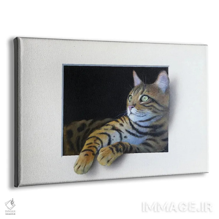 تابلو مومو اثر آلن وستون - نمای پرسپکتیو محصول