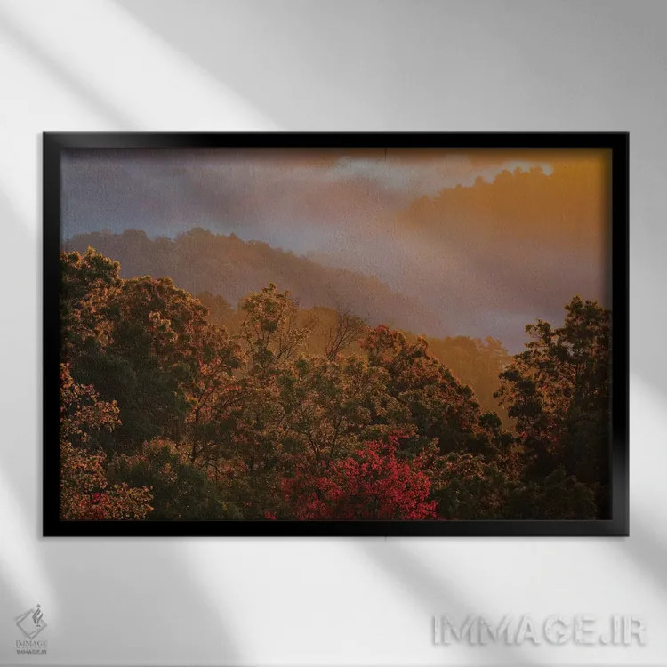 تابلو Tennessee. Great Smoky Mountain National Park, trees and fog at sunrise.,آمریکا، تنسی. پارک ملی کوههای اسموکی بزرگ، درختان و مه در سپیدهدم اثر جوآن ولز - نمای قابدار مشکی