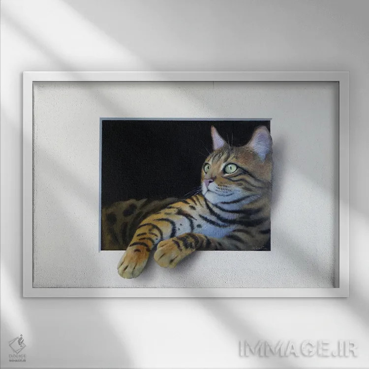 تابلو مومو اثر آلن وستون - نمای قابدار سفید