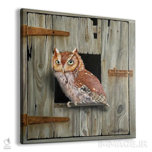 تابلو جغد قهوهای اثر آلن وستون - نمای پرسپکتیو محصول