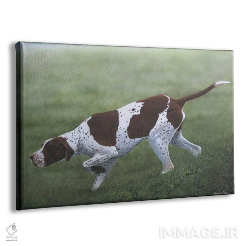 تابلو پوینتر انگلیسی اول (نژاد سگ) اثر آلن وستون - نمای پرسپکتیو محصول