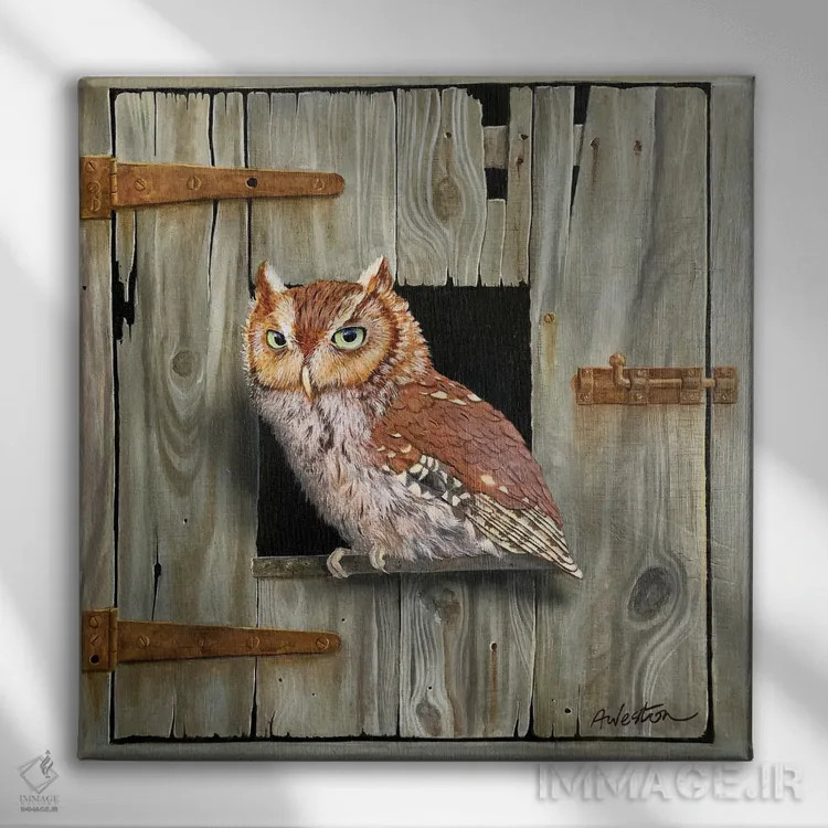 تابلو جغد قهوهای اثر آلن وستون - نمای روبهرو روی دیوار