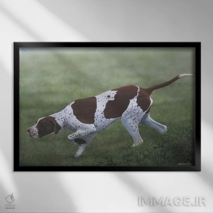 تابلو پوینتر انگلیسی اول (نژاد سگ) اثر آلن وستون - نمای قابدار مشکی