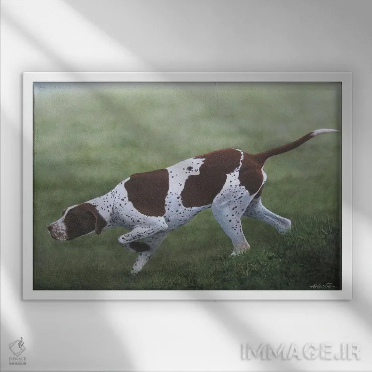 تابلو پوینتر انگلیسی اول (نژاد سگ) اثر آلن وستون - نمای قابدار سفید