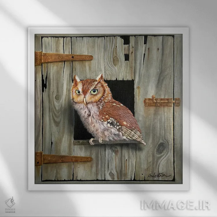 تابلو جغد قهوهای اثر آلن وستون - نمای قابدار سفید