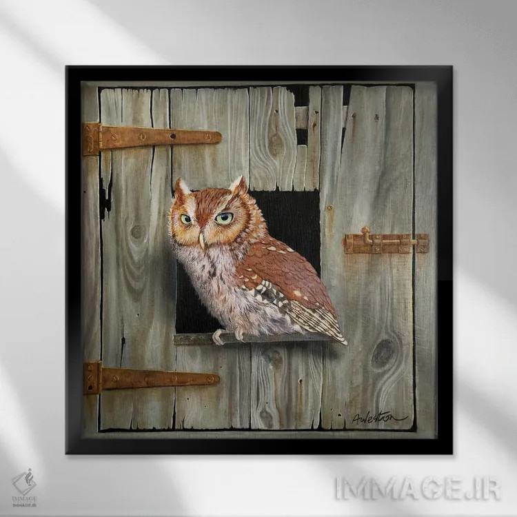 تابلو جغد قهوهای اثر آلن وستون - نمای قابدار مشکی