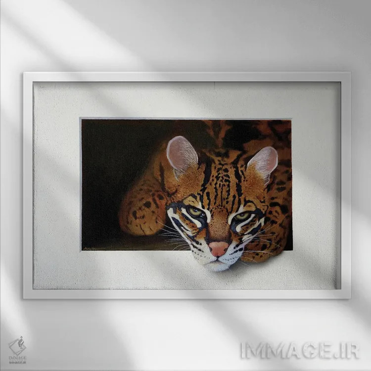 تابلو اوسلات سوم (گربهسان جنگلی) اثر آلن وستون - نمای قابدار سفید