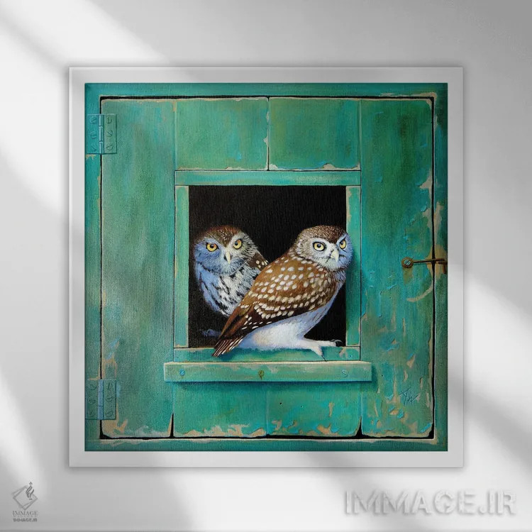 تابلو جغد اثر آلن وستون - نمای قابدار سفید