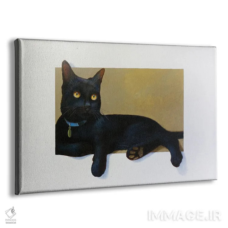 تابلو تامی اثر آلن وستون - نمای پرسپکتیو محصول