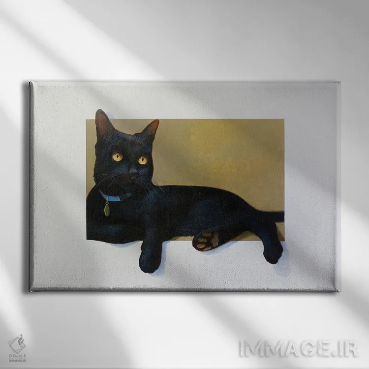 تابلو تامی اثر آلن وستون - نمای روبهرو روی دیوار