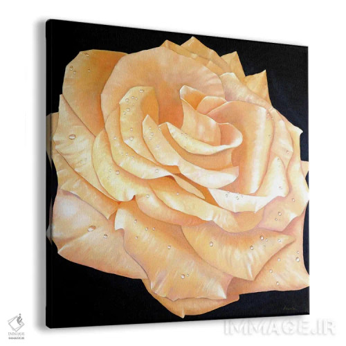 تابلو رزها اثر آلن وستون - نمای پرسپکتیو محصول