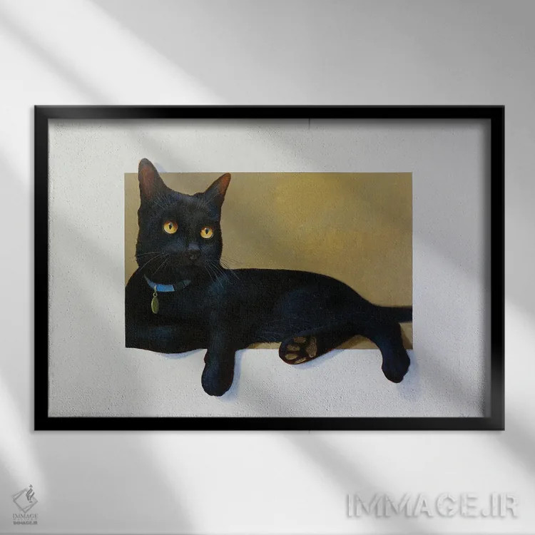 تابلو تامی اثر آلن وستون - نمای قابدار مشکی