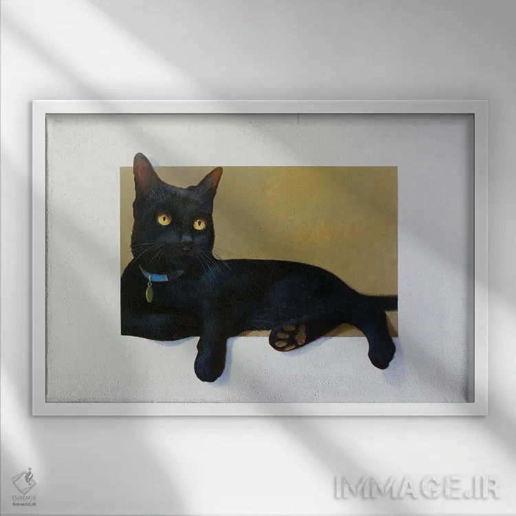 تابلو تامی اثر آلن وستون - نمای قابدار سفید