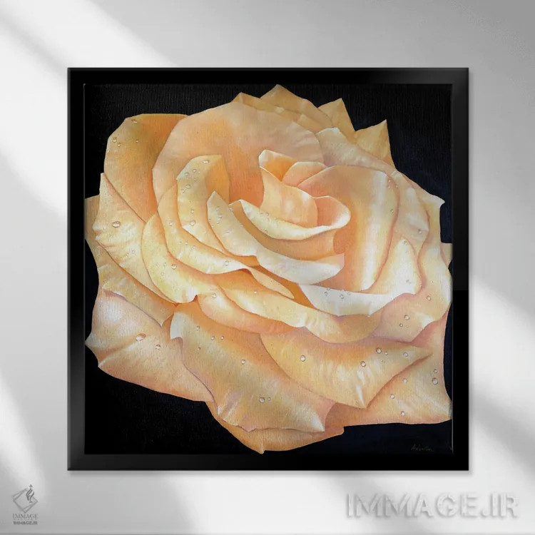 تابلو رزها اثر آلن وستون - نمای قابدار مشکی
