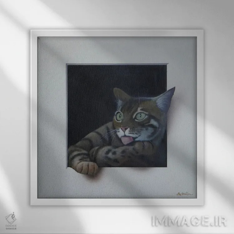 تابلو تَبی (نوع گربه) اثر آلن وستون - نمای قابدار سفید