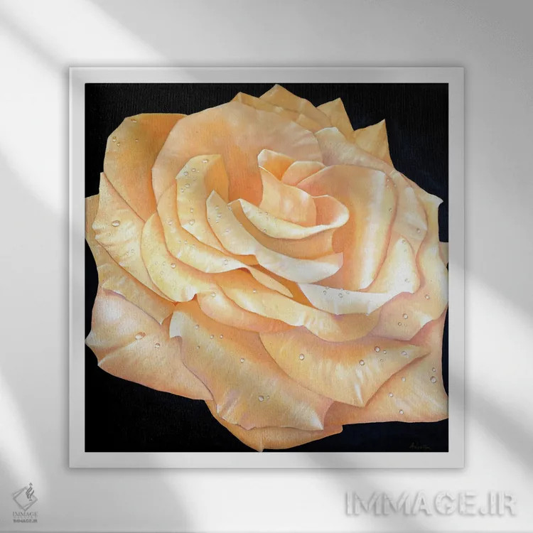 تابلو رزها اثر آلن وستون - نمای قابدار سفید