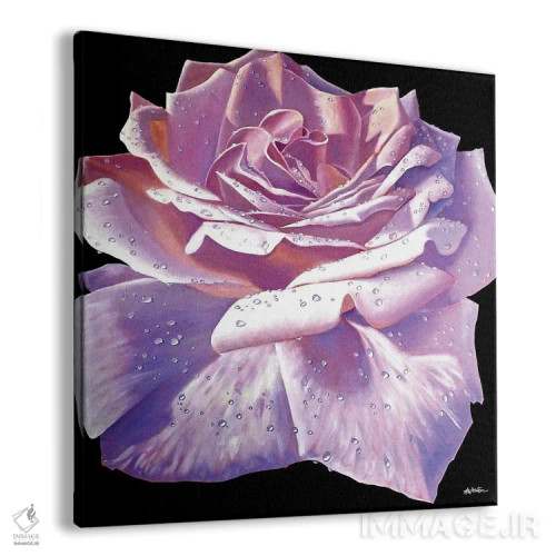 تابلو رزهای صورتی اثر آلن وستون - نمای پرسپکتیو محصول