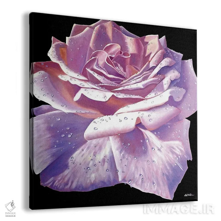تابلو رزهای صورتی اثر آلن وستون - نمای پرسپکتیو محصول