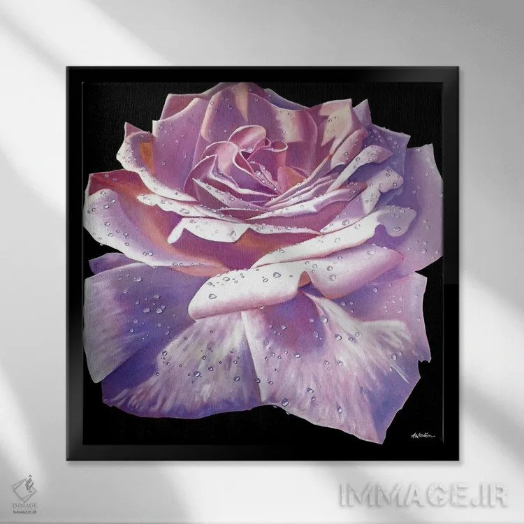 تابلو رزهای صورتی اثر آلن وستون - نمای قابدار مشکی