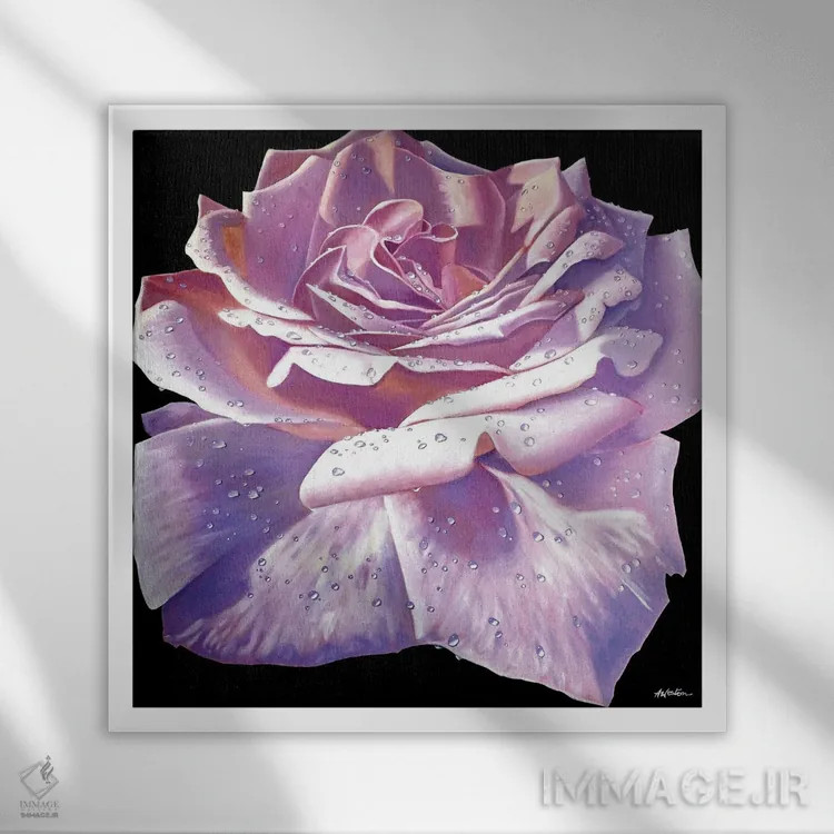 تابلو رزهای صورتی اثر آلن وستون - نمای قابدار سفید