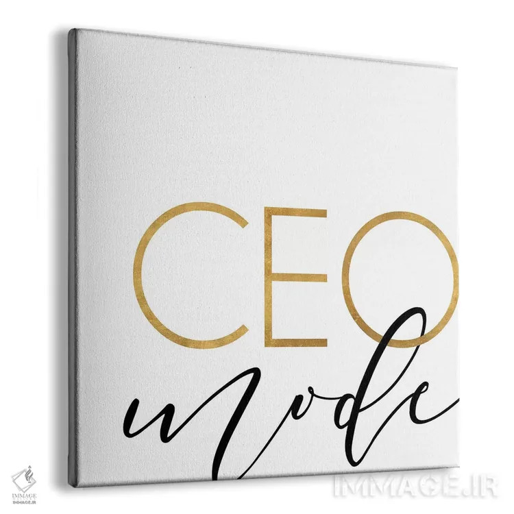 تابلو حالت مدیرعاملی اثر آنا کوآچ - نمای پرسپکتیو محصول