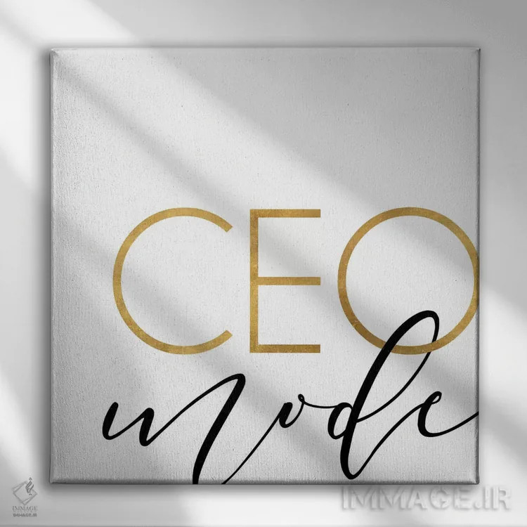 تابلو حالت مدیرعاملی اثر آنا کوآچ - نمای روبهرو روی دیوار