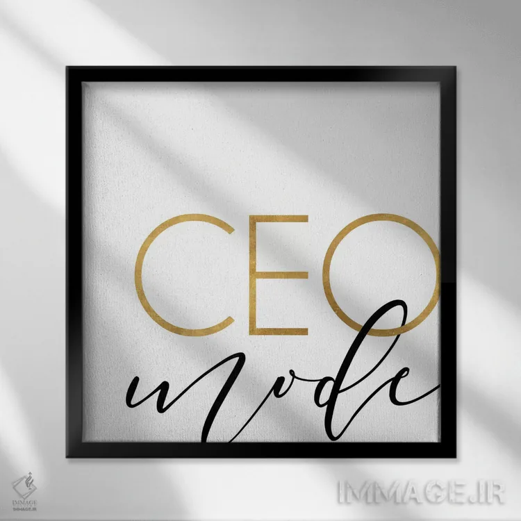 تابلو حالت مدیرعاملی اثر آنا کوآچ - نمای قابدار مشکی