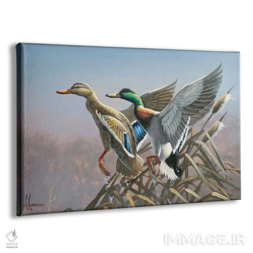 تابلو پرواز اردکهای کلهسبز اثر اندرسون آرت (گروه هنری) - نمای پرسپکتیو محصول