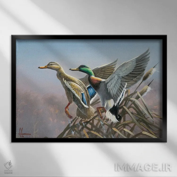 تابلو پرواز اردکهای کلهسبز اثر اندرسون آرت (گروه هنری) - نمای قابدار مشکی