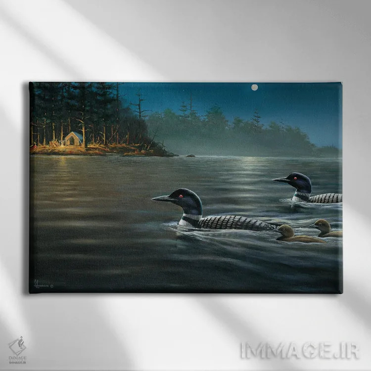 تابلو تور شبانهٔ قوندوکها زیر نور ماه اثر اندرسون آرت (گروه هنری) - نمای روبهرو روی دیوار