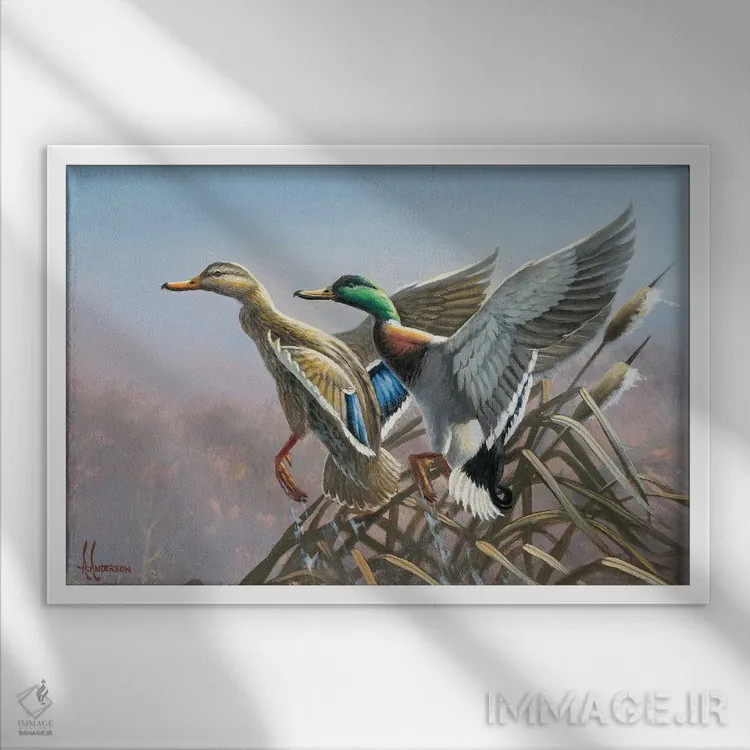 تابلو پرواز اردکهای کلهسبز اثر اندرسون آرت (گروه هنری) - نمای قابدار سفید