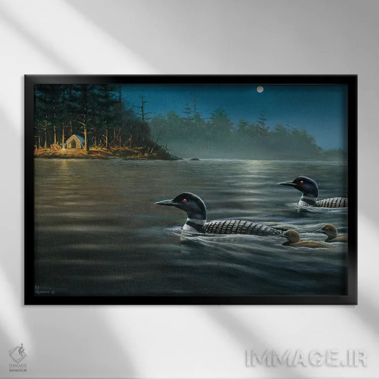 تابلو تور شبانهٔ قوندوکها زیر نور ماه اثر اندرسون آرت (گروه هنری) - نمای قابدار مشکی