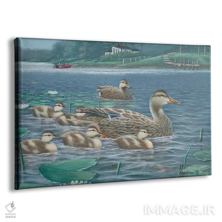 تابلو مادر مغرور اردکهای کلهسبز اثر اندرسون آرت (گروه هنری) - نمای پرسپکتیو محصول