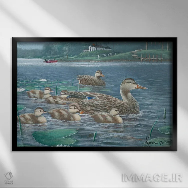 تابلو مادر مغرور اردکهای کلهسبز اثر اندرسون آرت (گروه هنری) - نمای قابدار مشکی
