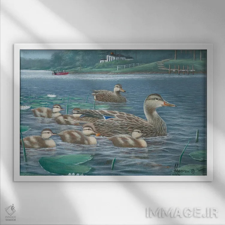 تابلو مادر مغرور اردکهای کلهسبز اثر اندرسون آرت (گروه هنری) - نمای قابدار سفید
